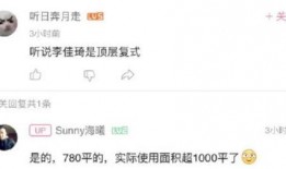 omg币最新爆料,市场前景与潜在风险一网打尽
