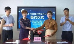 吴川小学爆料案件视频最新,揭秘校园安全事件真相