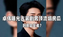 假大瓜娱乐圈爆料,揭秘明星背后的惊人真相！