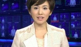 主持人爆料冯导视频大全,主持人爆料背后的真相