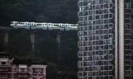 重庆涂先生最新爆料,揭秘重大事件背后真相